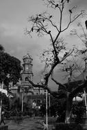 Black And White photo of Town Church and tree