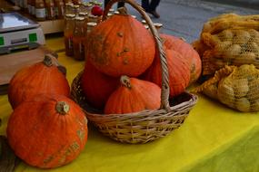 pumpkins in a basket
