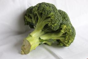 green healthy broccoli
