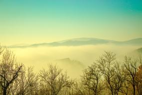 Landscape Fog Mountain