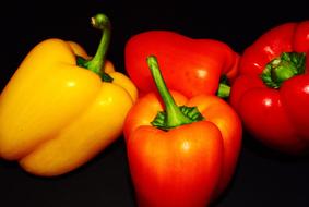 Ripe colored peppers
