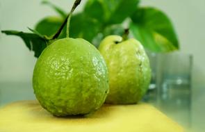 fresh lime fruit