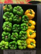 Fresh peppers in a box