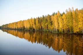 Landscape Trees Autumn