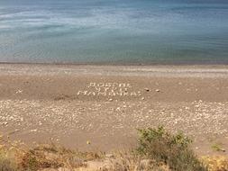 Morning Surprise on sand beach
