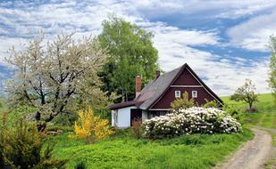 cottage surrounded by spring plants