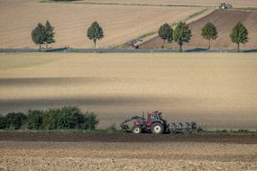 tractor in the background of the field