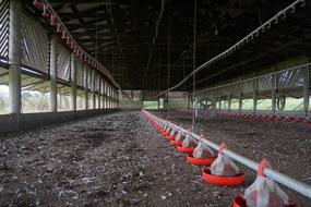 Barn Feeders Farm