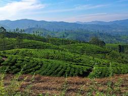 Sri Lanka Mountains Highlands