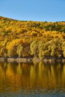 Autumn Trees Lake