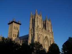 gothic cathedral in washington