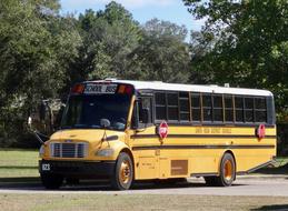 School Bus Yellow street