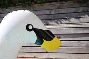 Duck Floatation Toy