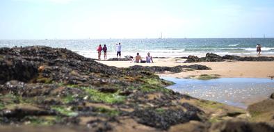 people on the beach by the rocks