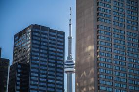 skyscrapers and Cn Tower in Toronto, Canada