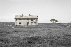 Black and white landscape with the old, brick barn, near the tree in Norway