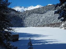 Tyrol Winter Sports