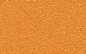 citrus texture on the wall