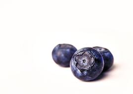 purple juicy berries