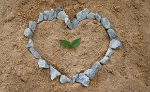 The stone heart with the leaf is beautiful.