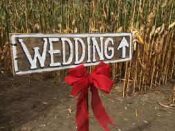 wedding lettering bow red