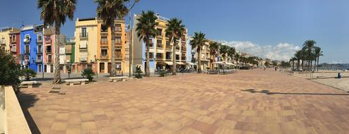 Villa Joyosa Spain and palm