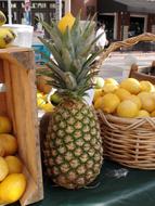 ripe delicious pineapple