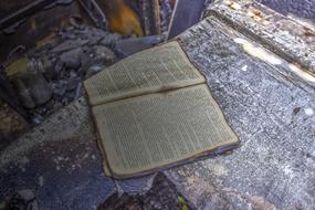 Fire Building book