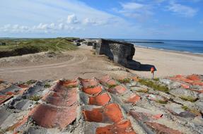 North Sea Beach of Denmark