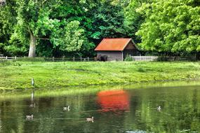 Building Barn Shed in countryside