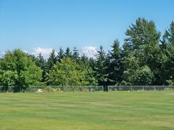 Park Nature Outdoor