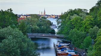 view of the park with the bridge
