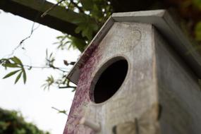 Bird House Box
