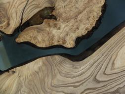 Tree Table Texture