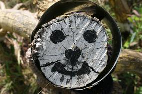 face on a log in the forest