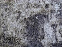 cracked Concrete Wall Background Structure