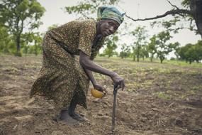 Farmer Woman in Africa