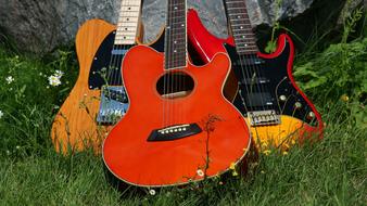 Guitar colors and green Meadow