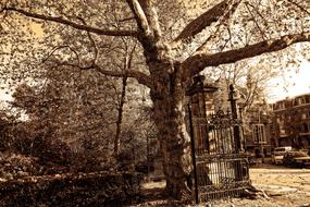Beautiful entrance of the beautiful Vondelpark in Amsterdam, Netherlands
