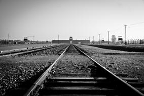 rails black field