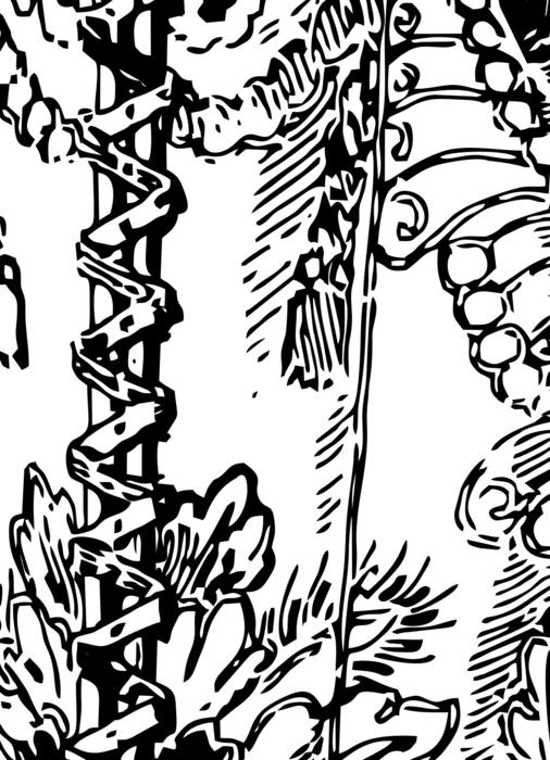 corset pretty glamour illustration
