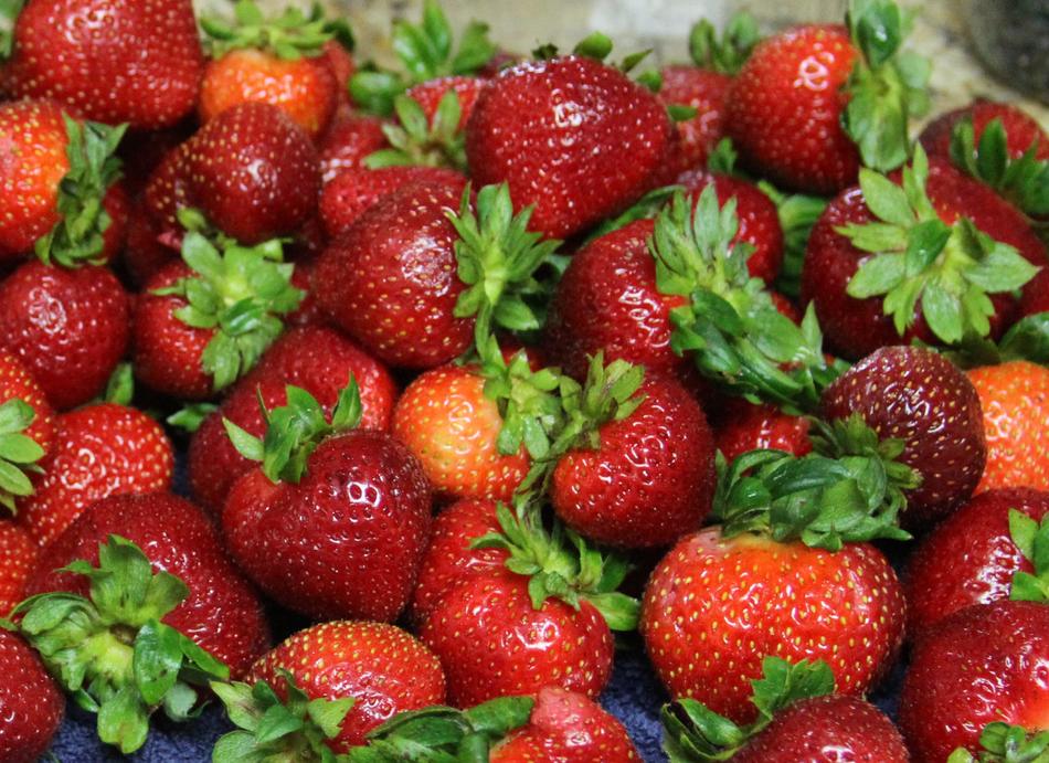 healthy ripe berries