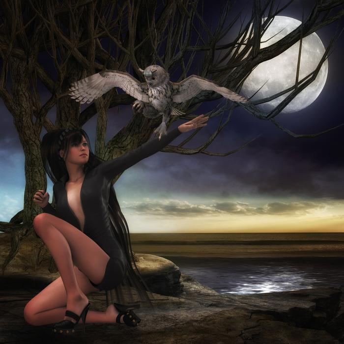 night woman bird owl landscape