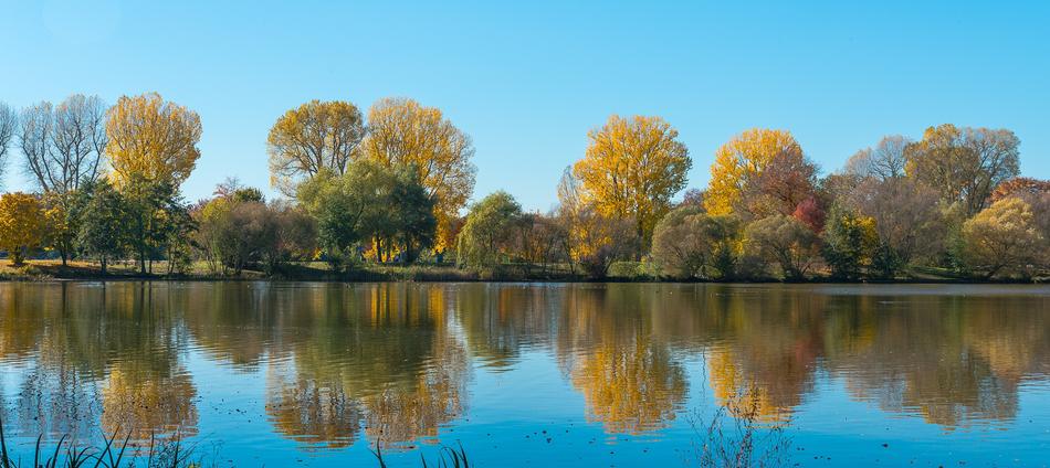 Autumn trees by the river