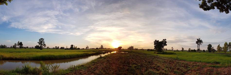 sunny landscape with green grass and river