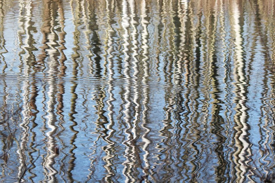 Water Reflection Nature