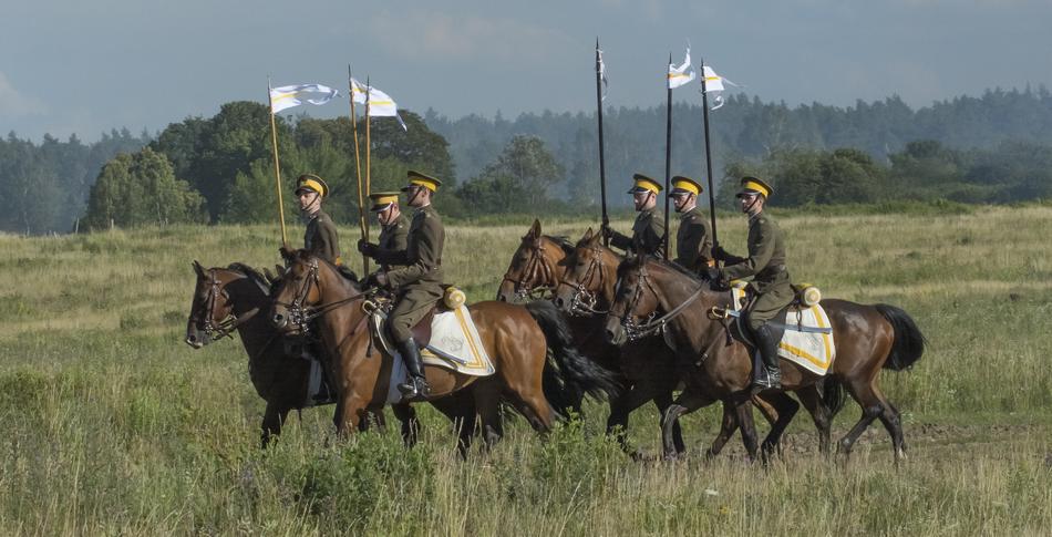 Horses Cavalry Soldier