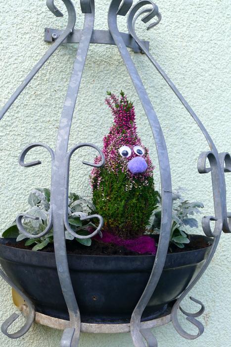 Figure Animal Flowers