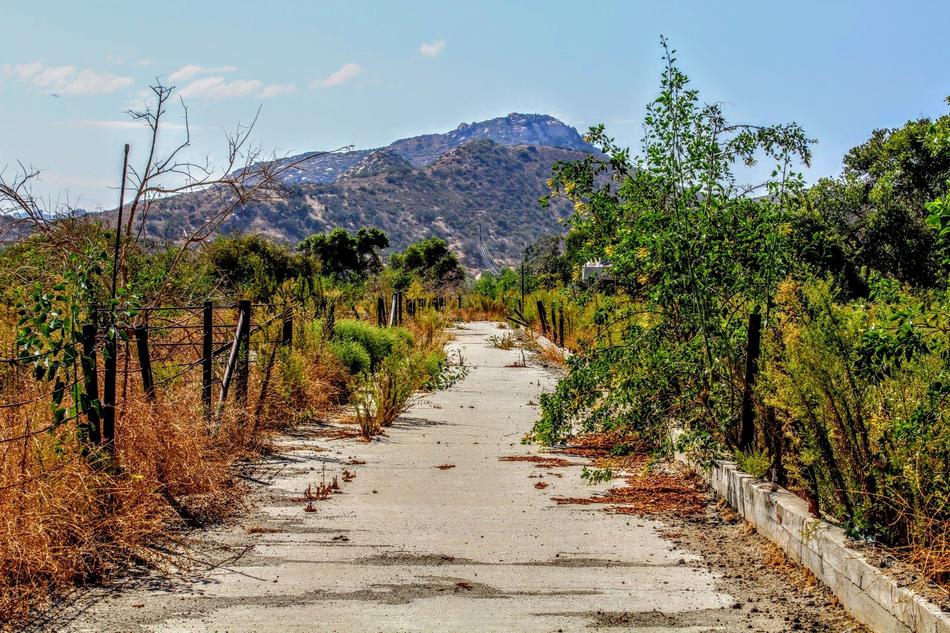 Nature Walkway Landscape