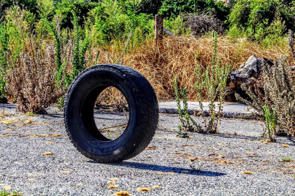 Black tire on the asphalt, near the colorful plants